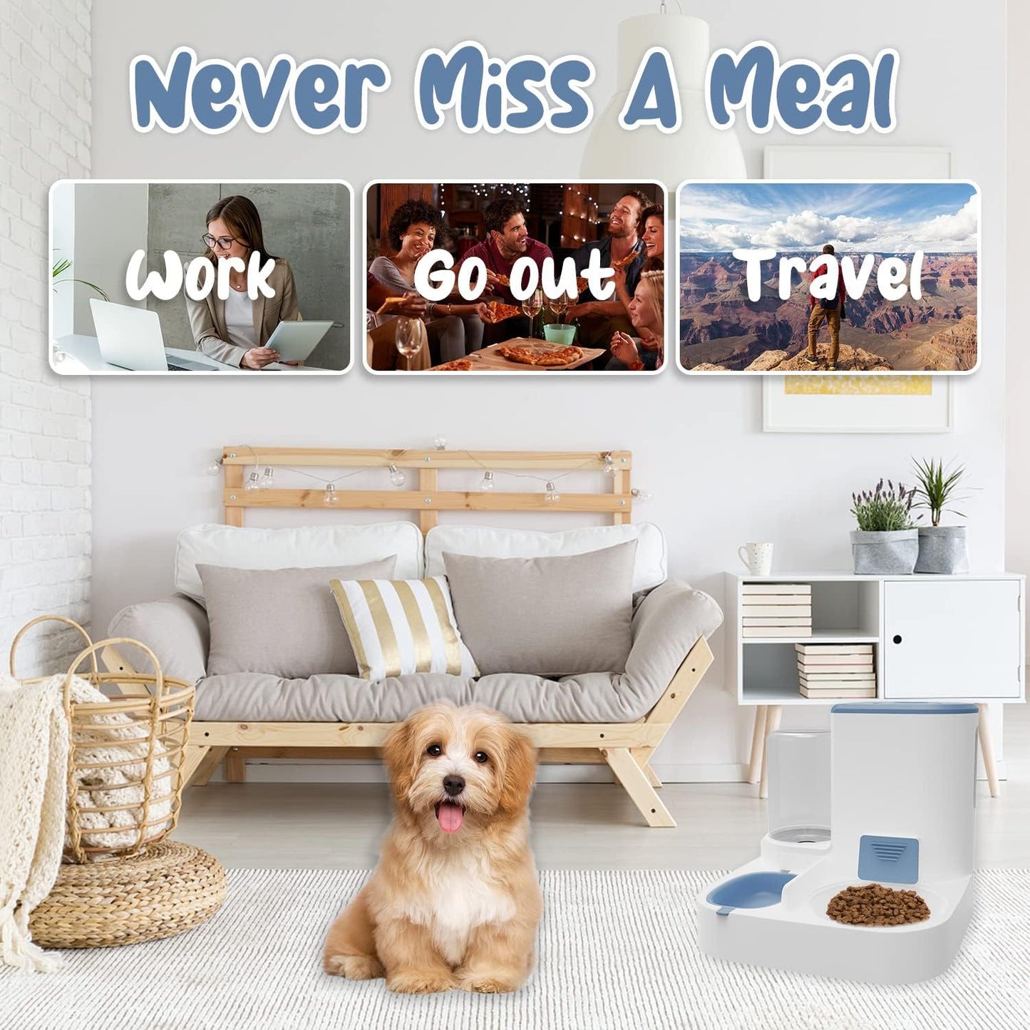 Dispozitiv Inteligent Hrănire Pisici